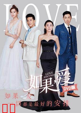 如果，爱 DVD版