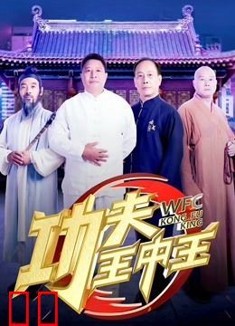 功夫王中王第三季
