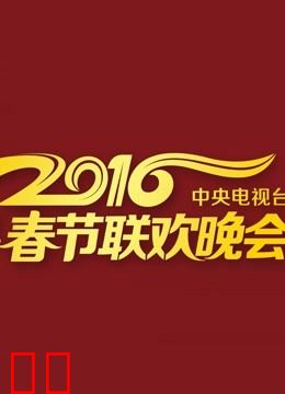 2016央视元宵