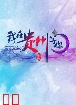 我在贵州等你第二季