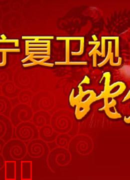 宁夏卫视2013春晚