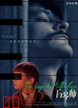 盲琴师（普通话）