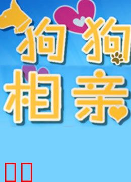 狗狗来相亲