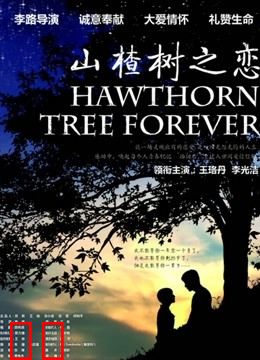 山楂树之恋
