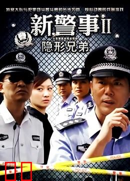 新警事之隐形兄弟