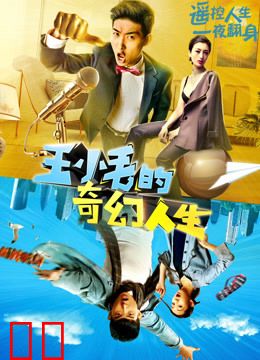 王小毛的奇幻人生