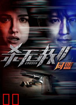 杀无赦2：Ⅱ同盟