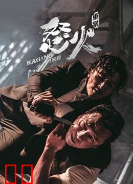 怒火·重案（粤语）