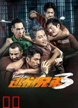 逃狱兄弟3