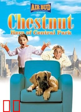 勇犬大栗：中央公园的英雄