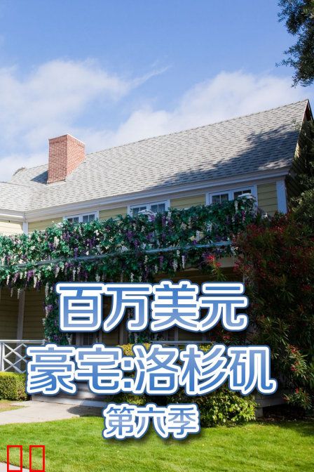 百万美元豪宅:洛杉矶 第六季