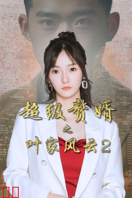 超级赘婿之叶家风云2