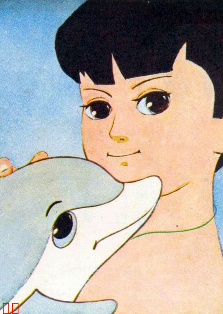 我的朋友小海豚