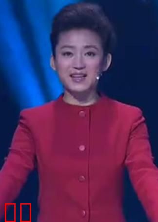 中国灯谜大会 第二季