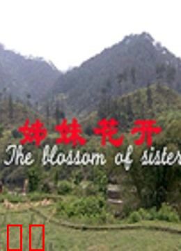 姊妹花开