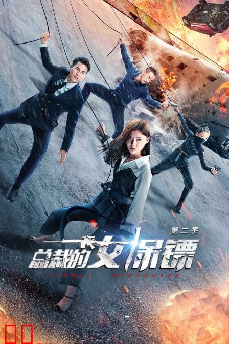 总裁的女保镖 第二季