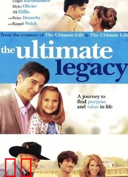 最终的遗产（普通话）