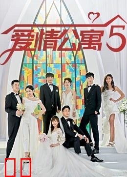 爱情公寓5