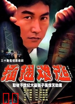 插翅难逃张治中版