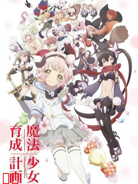 魔法少女育成计划