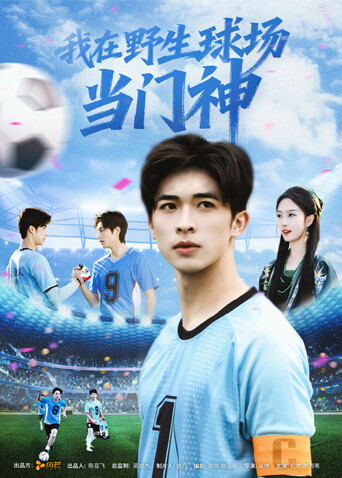 我在野生球场当门神